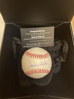 Fanatics David Wells デイビッド・ウェルズ 直筆サインボール - メルカリ
