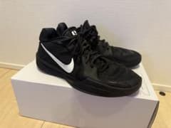 Sabrina2 28.0cm (Nike by you)のサムネイル