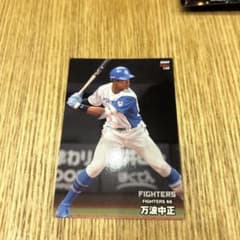 万波中正 カルビー スポーツカード 120のサムネイル