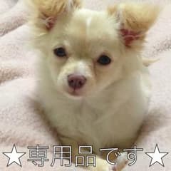☆リラ様  専用品です☆のサムネイル