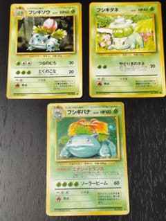 ポケモンカード フシギバナ フシギソウ フシギダネ 旧裏 3枚セット ②