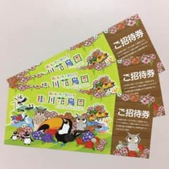 掛川花鳥園 入園券 ３枚 まとめ売りのサムネイル