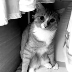 専用です☆のサムネイル