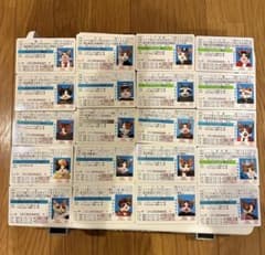 【激レア・銀免許あり】なめ猫 カード 20枚セット 当時物 免許証のサムネイル