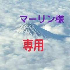 コメントで値下げ！音波電動磁気ブラシのサムネイル