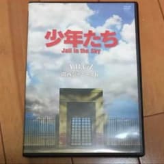 少年たち DVDのサムネイル
