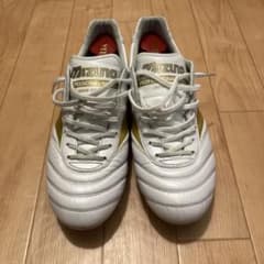 シ*寒様 モレリア2 JAPAN(ショートタン) 白金 m55475802622_1.jpg?1774534382