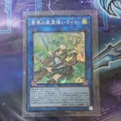 蒼翠の風霊使いウィンのサムネイル