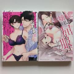 ヤンデレ策士な御曹司に知らないうちに婚姻届を出されていました ヤンデレ策士な御曹司に知らないうちに婚姻届を出されていました