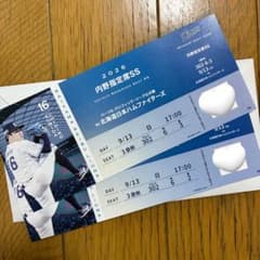 埼玉西武ライオンズ 9/13 内野指定席SS ペアチケットのサムネイル