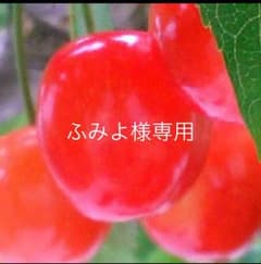 ふみよ様専用のサムネイル