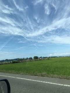 あすかん様 専用のサムネイル