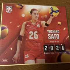 日本女子バレー 2026 ミニ色紙 佐藤淑乃 - メルカリ