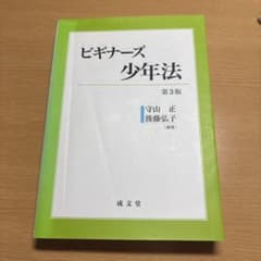ビギナーズ少年法 第3版 成文堂 守山正 後藤弘子のサムネイル