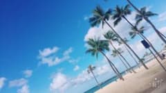 専用のサムネイル