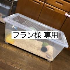 フラン様 専用のサムネイル