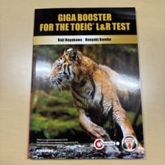 全パート・全頻出!TOEICL&Rテスト実戦問題GIGAのサムネイル