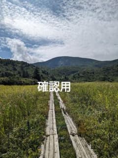 確認用のサムネイル