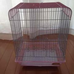 しぃ様専用 鳥かご   値下げしました‼︎のサムネイル