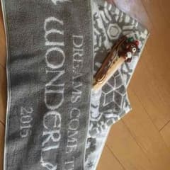 DREAMS COME TRUE ワンダーランド2015のサムネイル