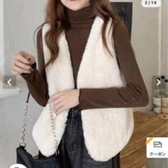 エコファーシンプルベストのサムネイル
