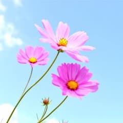 Jiro★様専用のサムネイル