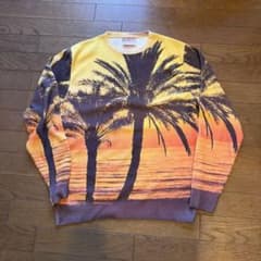 70s USA製マクレガー ヴィンテージ フォトプリントスウェット L 70s USA製マクレガー ヴィンテージ フォトプリントスウェット L - メルカリ