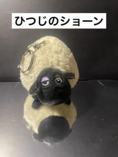 양의 숀