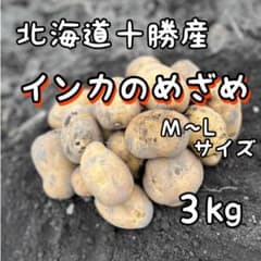 北海道十勝産 インカのめざめＭ～Ｌサイズ ３kgのサムネイル