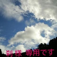 刹 様  専用です。のサムネイル