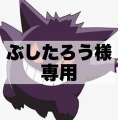 【ぶしたろう様専用】ポケモンカード 2枚セットのサムネイル