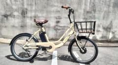 No 0901-2 電動自転車 丸石 ビューピッコリーノ 20インチ ベージュ 