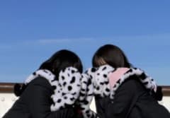 ディズニーファンキャップマフラー101匹わんちゃんのサムネイル