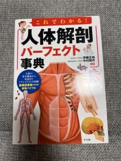 これでわかる!人体解剖パーフェクト事典のサムネイル