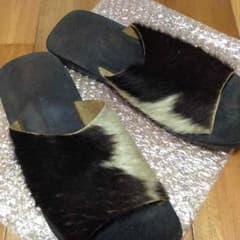 アルフレッドバニスターのサムネイル