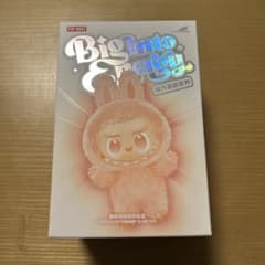 正規品・未開封 ラブブ Big into Energy - メルカリ