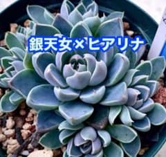 けいち様 リクエスト 3点 まとめ商品 - メルカリ