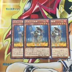 (即購入OK)不知火新規のサムネイル