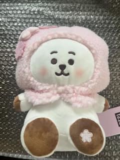 최종 가격 인하 BT21 주름 봉제 인형 (SPRING DAY) RJ
