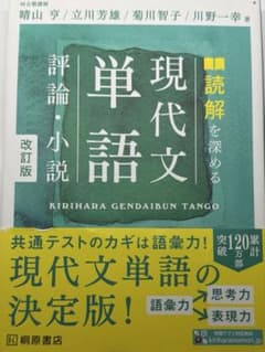 《期間限定》読解を深める現代文単語評論・小説のサムネイル