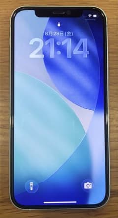Apple iPhone 12 本体 グリーンのサムネイル