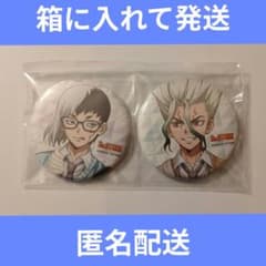 あさぎりゲン 石神千空 アニメイト特典 缶バッジ Dr.STONE ドクスト
