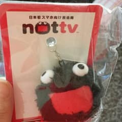 アモマ n.shiさん専用のサムネイル