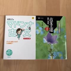 マドンナ古文 パワーアップ版 古文上達 基礎編 2冊セットのサムネイル