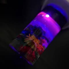 水中花 USB LED ピンクパープル - メルカリ