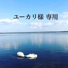 ユーカリ様 専用▷天然石▷アマゾナイトのサムネイル