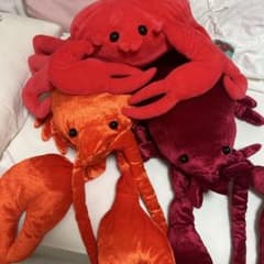 レア　サンリオ ハローキティ ぬいぐるみ フェアリーキティ メガミ フェアリー レア サンリオ ハローキティ ぬいぐるみ フェアリーキティ