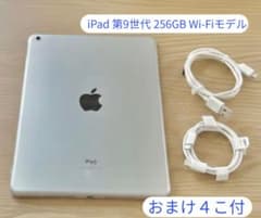iPad 第9世代 256GB Wi-Fiモデルのサムネイル