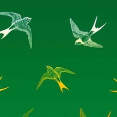 リン様専用のサムネイル