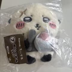 치이카와 에니마이 복권 라코 선생님